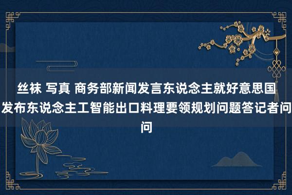 丝袜 写真 商务部新闻发言东说念主就好意思国发布东说念主工智能出口料理要领规划问题答记者问