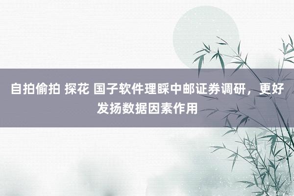 自拍偷拍 探花 国子软件理睬中邮证券调研，更好发扬数据因素作用