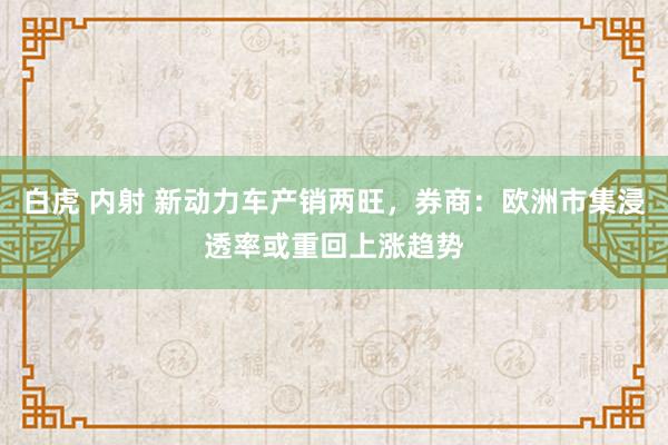 白虎 内射 新动力车产销两旺，券商：欧洲市集浸透率或重回上涨趋势