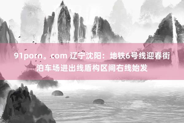 91porn。com 辽宁沈阳：地铁6号线迎春街泊车场进出线盾构区间右线始发