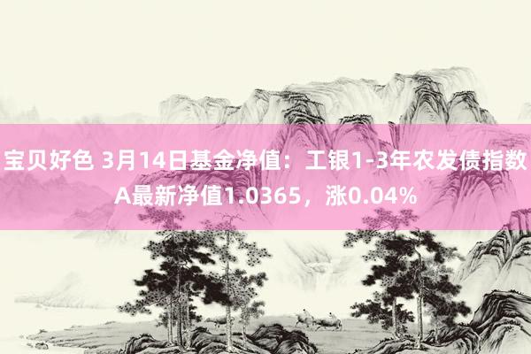 宝贝好色 3月14日基金净值：工银1-3年农发债指数A最新净值1.0365，涨0.04%