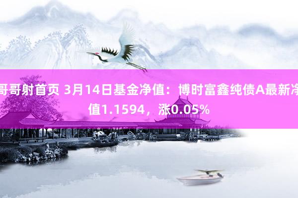 哥哥射首页 3月14日基金净值：博时富鑫纯债A最新净值1.1594，涨0.05%