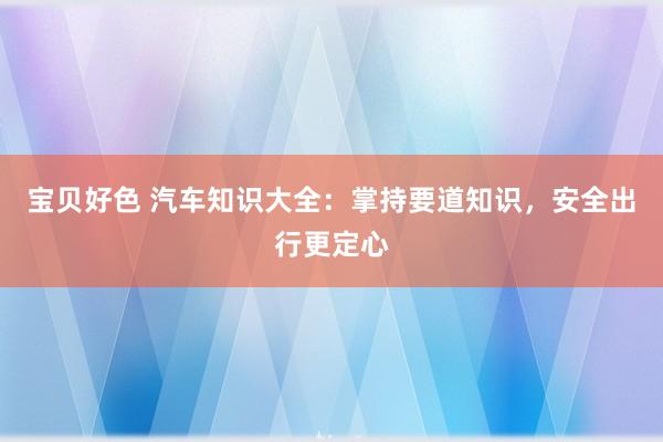 宝贝好色 汽车知识大全：掌持要道知识，安全出行更定心