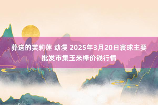 葬送的芙莉莲 动漫 2025年3月20日寰球主要批发市集玉米棒价钱行情