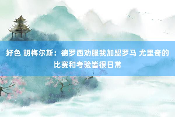 好色 胡梅尔斯：德罗西劝服我加盟罗马 尤里奇的比赛和考验皆很日常